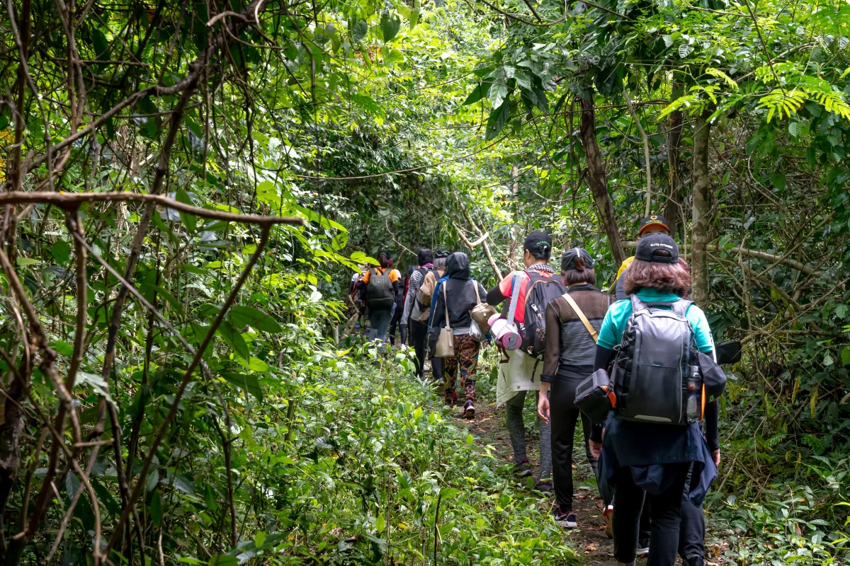 I migliori trekking vicino a Padova: avventure all'aria aperta